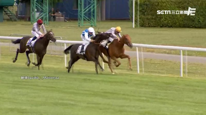 賽馬奪冠前一秒！「牠」出怪招被回瞪