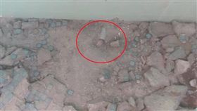 地磚,師傅,高壓電,觸電　圖／翻攝爆廢公社二館