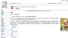 遭惡意攻擊　多國無法連上維基百科（圖／翻攝自維基百科）