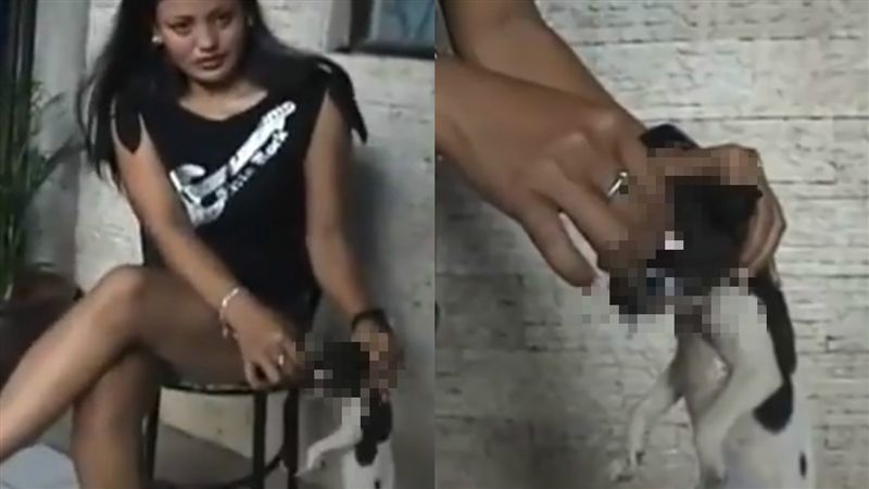 女將幼犬臉當菸灰缸　不斷用菸頭搓眼