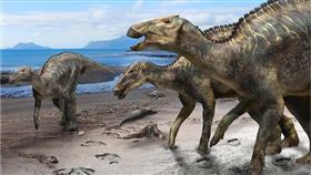 日本科學家發現一種新恐龍「神威龍」化石，研究人員表示，這意謂日本或東亞曾經有過一個獨立的恐龍世界以及一段獨立演化過程。（圖取自科學報告期刊網頁nature.com）