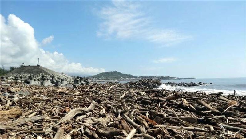 颱風白鹿帶漂流木　台東10日可撿拾