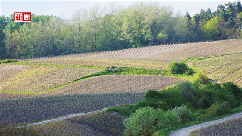 擁抱獨具一格道地風味　素樸釀出明媚