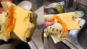 拆布丁雪糕吃！一咬下藏「長觸角黑珍珠」近看嚇傻　千人全崩潰：童年毀壞(圖/爆廢公社)