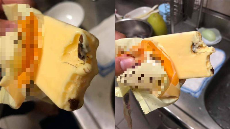 布丁雪糕咬到「觸角」！她：童年毀滅
