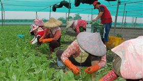 保障老農福利  雲林縣府：別忽視喪葬慰問金雲林縣政府8日表示，基於保障65歲以上、農保年資25年以上的老農福利，在老農過世後，若因為土地移轉等因素而無法領取喪葬津貼，政府將發給喪葬慰問金，這項農民福利千萬別忽視。（檔案照片）中央社記者葉子綱攝  108年9月8日