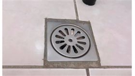 頭髮,掉髮,排水孔,洗髮,魔鬼（圖／翻攝自臉書／爆廢公社）