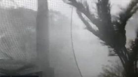 颱風「法西」。（圖／翻攝自推特）