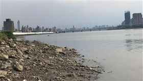 台北市迪化抽水站外河面發現1具女性浮屍（讀者提供）