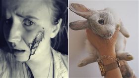  西班牙一名素食主義份子從農場「救出」了16隻兔子之後，導致接近100隻小兔子死亡。（圖擷自mythical.mia IG