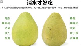 中秋節,文旦,柚子,消水,辭水（圖／翻攝網路）