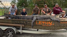 美國巨鱷被捕獲！身長14呎破紀錄　人鱷激烈博鬥險跌湖中（圖／翻攝自Derrick Snelson臉書）