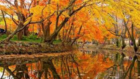 （圖／Tripbaa趣吧！亞洲自由行專家）