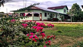 專家指出，巴西可以鼓勵發展亞馬遜地區的生態旅遊，帶動地方經濟，化危機為無限商機。圖為佳利多民宿。（圖取自facebook.com/PousadaJoseGarrido）