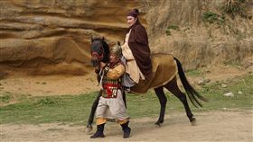 楊麗花。（麗生百合提供）