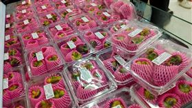 山竹,果后,家樂福
李鴻典攝