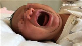 高雄人口數連4個月流失 網諷