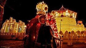 斯里蘭卡,大象,象夫,遊行,康提佛牙節。(圖/翻攝自推特)