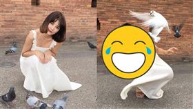 空靈系,美女,拍照,鴿子,捕捉,醜態,驚嚇,真實,爆笑公社