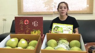最強村姑賣文旦！陳筱諭8天賣8萬斤