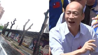 高雄路樹「斷頭」 網譏:砍樹發大財