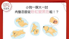 名家專用／毛起來MAOUP（勿用）