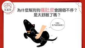 名家專用／毛起來MAOUP（勿用）