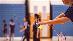 羽球,羽毛球（圖／pixabay）