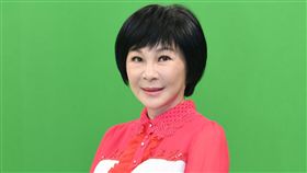 吳淡如/華視提供