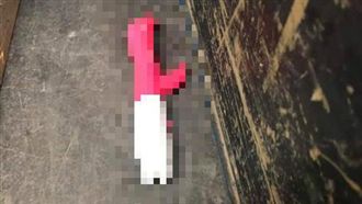 玩具消失又出現竟沾污漬　疑弟偷拿她崩潰