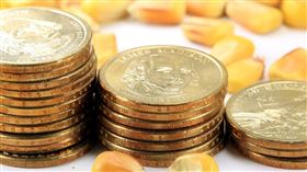 名家／MONEY錢（勿用）