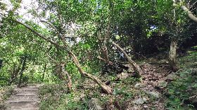 布農族傳說秘境曝光（1）