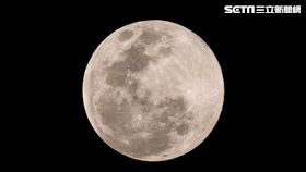 元宵節,賞月,超級月亮　圖／記者林士傑攝影