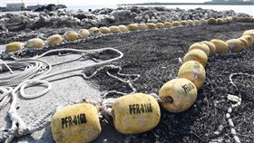 澎湖縣,定置網具,捕魚,漁業權執照,實名制,違者遭罰(圖/中央社)