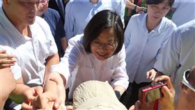 索羅門跨黨派,與台斷交,蔡英文,韓國瑜,國際視野(圖/中央社)