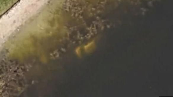 谷歌地圖見「湖中車」　破了失蹤懸案