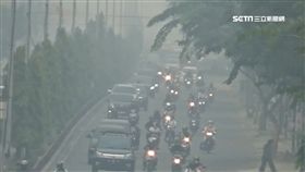 不只亞馬遜雨林野火引發全球關注，東南亞各國也因為森林火災拉起空汙警報。印尼的婆羅洲還有蘇門答臘，近來有數十萬人受到霾害影響，就連臨近的馬來西亞和新加坡都遭到波及，當地學校緊急停課。
