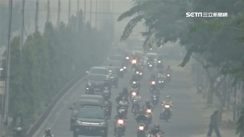 新德里霧霾籠罩　影響航班和學校上課
