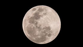 元宵節,賞月,超級月亮　圖／記者林士傑攝影