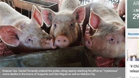 非洲豬瘟
https://www.philstar.com/nation/2019/09/06/1949426/swine-deaths-bulacan-probed