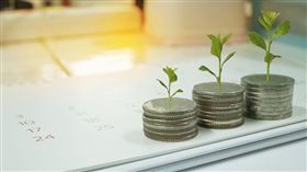 名家專用/MONEY錢(勿用)