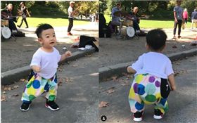 蔡桃貴,蔡阿嘎,翻攝自IG