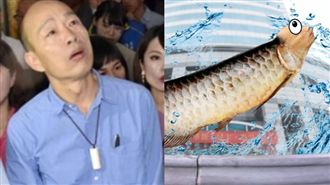 韓民調墊底怪陳菊 他批韓是這種魚…