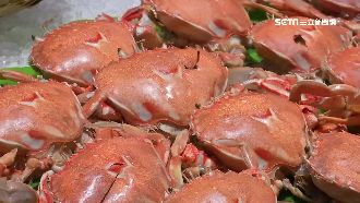 秋季吃蟹怕藏毒？台灣蟹100%過關
