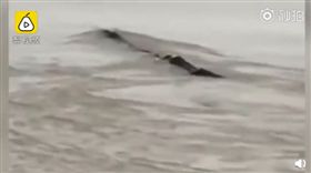 （圖／翻攝自梨視頻）中國,三峽大壩,水怪