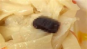 蟑螂,卵鞘,便當,反胃　　圖／翻攝爆怨公社