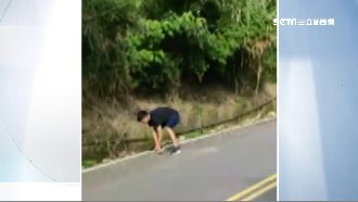 道路上滿地石塊！一看竟是猴子丟的