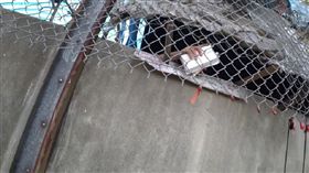 隱藏便當,圍牆便當,西螺休息站,國道,塞車