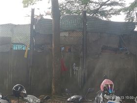 西螺,休息站,便當,隱藏版（圖／翻攝自爆廢公社公開版臉書）