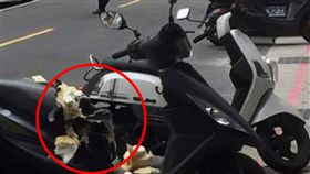 機車坐墊,咬爛,棉花,狗狗,兇手,味道,無辜